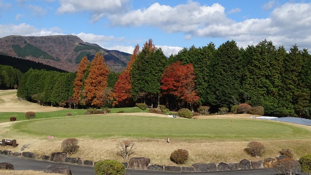 パッティンググリーン